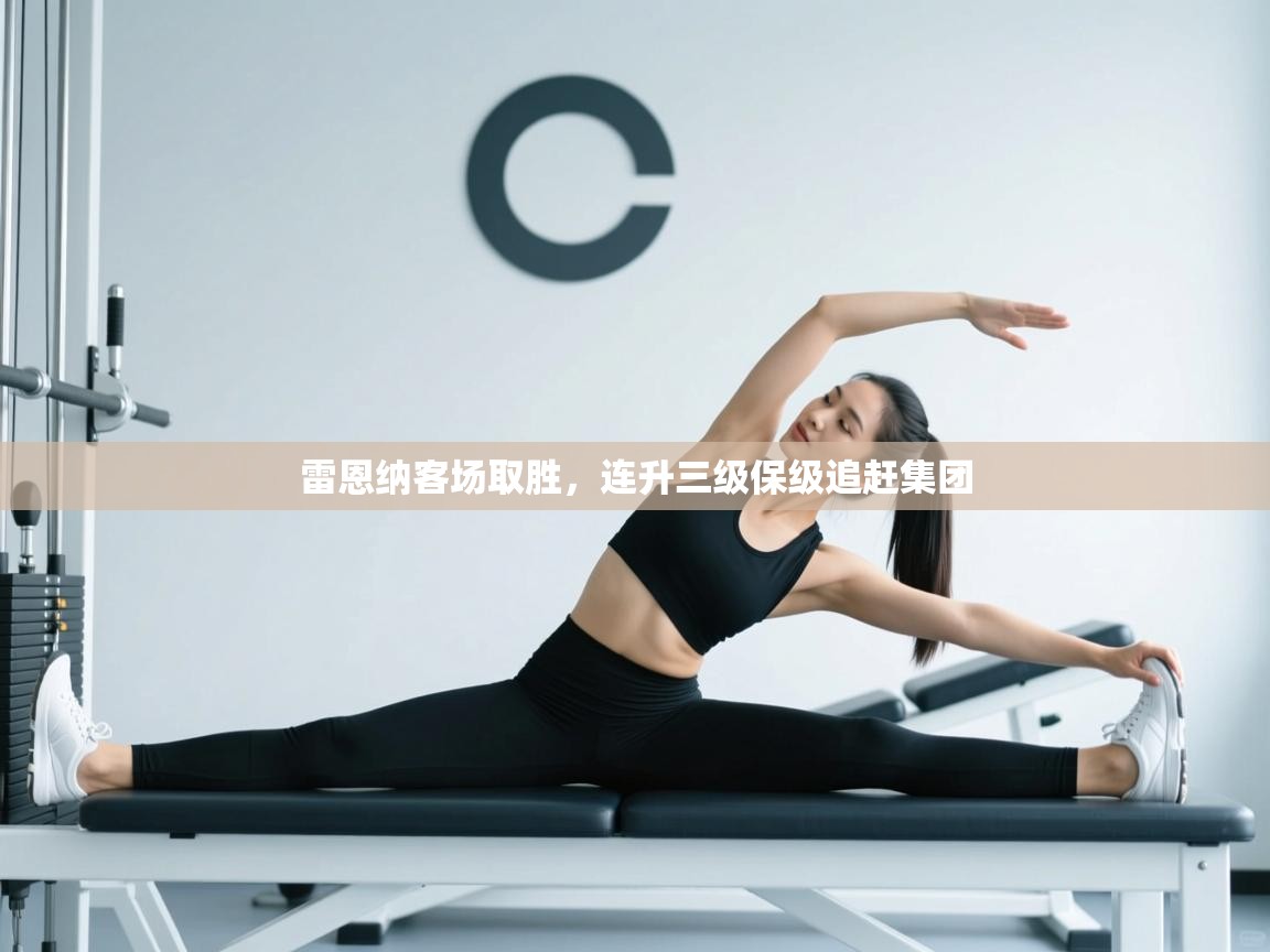 雷恩纳客场取胜,连升三级保级追赶集团 第2张