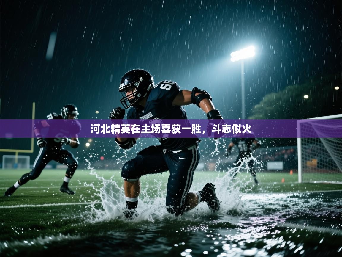 河北精英在主场喜获一胜,斗志似火 第2张