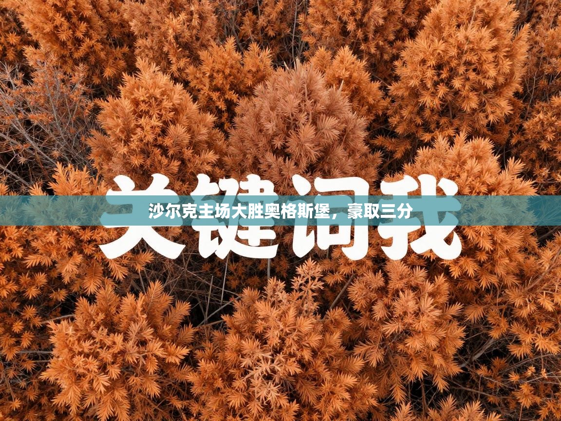 沙尔克主场大胜奥格斯堡，豪取三分  第1张