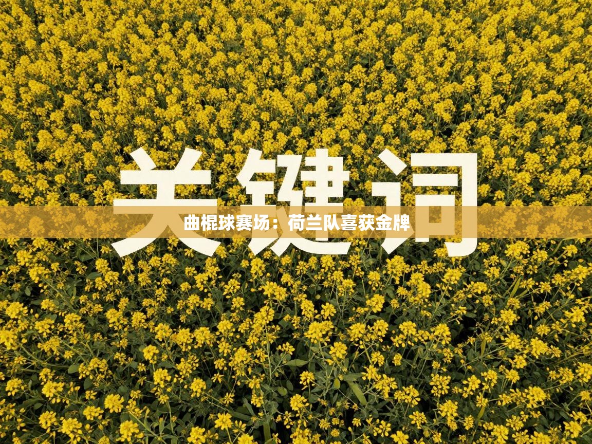 曲棍球赛场:荷兰队喜获金牌 第1张