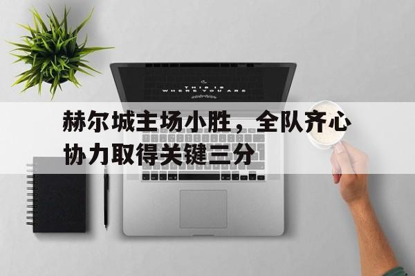 爱游戏-包含赫尔城主场小胜，全队齐心协力取得关键三分的词条